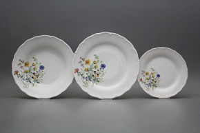 Tellerset Verona Blumenwiese motiv B 36-tlg. HBB