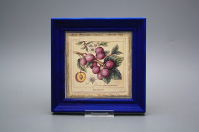 Bild 19,5cm Fruits cMOB