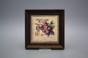 Bild 19,5cm Fruits cTHB