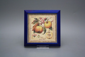 Bild 18cm Fruits kMOB