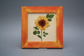 Bild 20cm Sonnenblumen eCMB