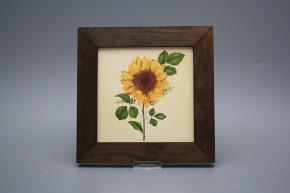 Bild 20cm Sonnenblumen eTHB