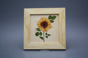 Bild 20cm Sonnenblumen ePBB