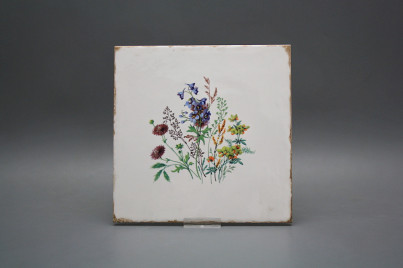 Forli Blanco Wandfliese 20x20cm Blumenwiese D č.1