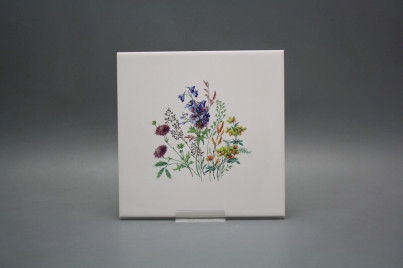 Fliese 20x20cm Blumenwiese Motiv D weiß glänzend č.1